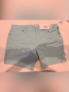 Carve Designs Women’s Light Blue Shorts